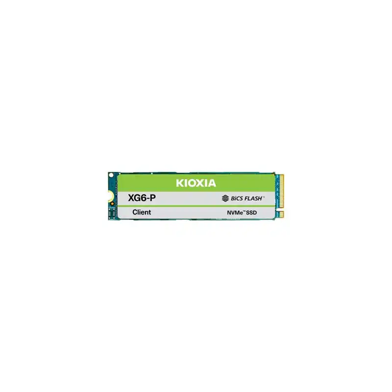 KIOXIA XG6-P Series - SSD - chiffré - 2048 Go - interne - M.2 2280 - PCIe 3.0 x4 (NVMe) (KXG60PNV2T04)_1