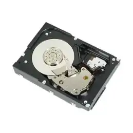 Dell - Disque dur - 1 To - interne - 3.5" - SATA 6Gb - s - 7200 tours - min - pour PowerEdge T130 (3.5"), ... (400-AUPW)_1