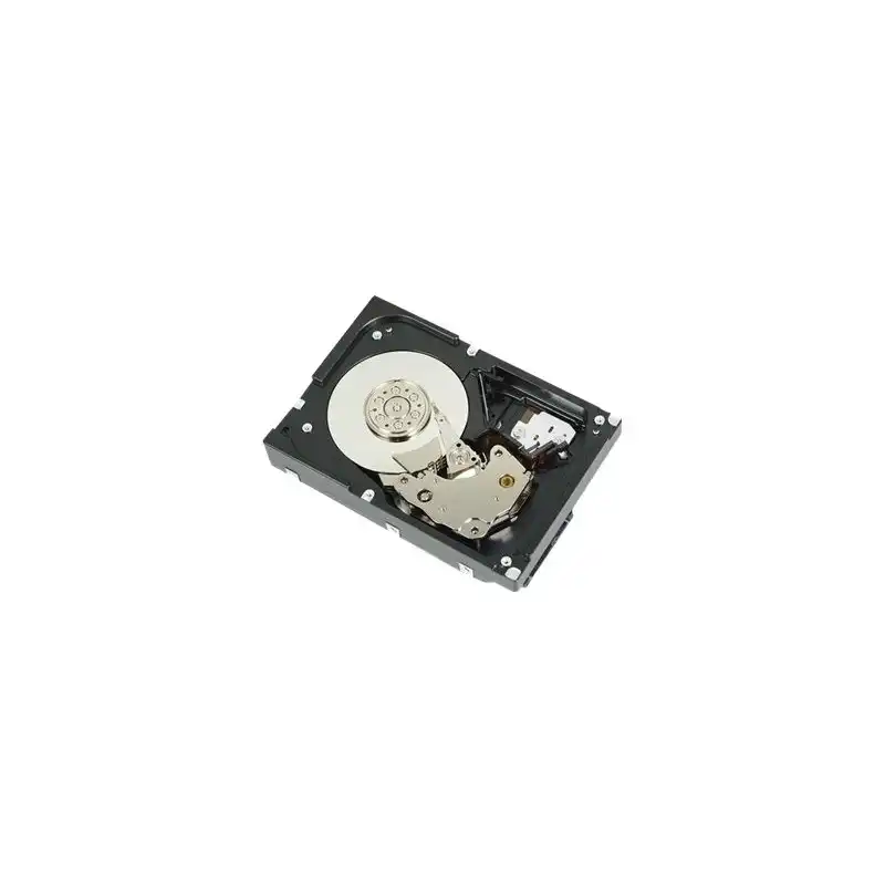 Dell - Disque dur - 1 To - interne - 3.5" - SATA 6Gb - s - 7200 tours - min - pour PowerEdge T130 (3.5"), ... (400-AUPW)_1