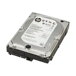 HP - Disque dur - 4 To - interne - 3.5" - SATA 6Gb - s - 7200 tours - min - mémoire tampon : 128 Mo - pour ... (K4T76AA)_1