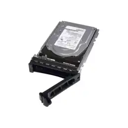 Dell - Disque dur - 1 To - échangeable à chaud - 2.5" - SATA 6Gb - s - 7200 tours - min - pour PowerEdge R... (400-AEFD)_1
