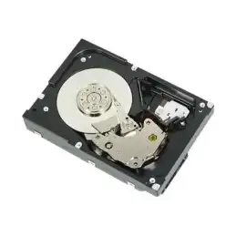 Dell - Kit client - disque dur - 4 To - interne - 3.5" - SATA 6Gb - s - 5400 tours - min (400-BGED)_1