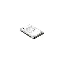 Lenovo ThinkPad - Disque dur - 1 To - 2.5" - SATA 6Gb - s - 5400 tours - min - pour ThinkPad E490 E590 L... (4XB0K48493)_1
