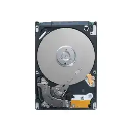 Dell - Kit client - disque dur - chiffré - 2.4 To - échangeable à chaud - 2.5" - SAS 12Gb - s - 10000 tour... (400-AVBO)_1