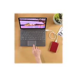 Seagate One Touch HDD - Disque dur - 4 To - externe (portable) - USB 3.2 Gen 1 - rouge - avec 2 ans de ... (STKC4000403)_2
