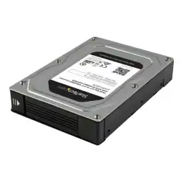 StarTech.com Boîtier adaptateur pour 2 disques durs SATA de 2,5" vers 3,5" avec RAID - Convertisseur HD... (35SAT225S3R)_4