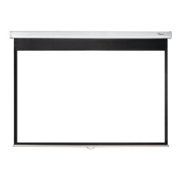 Écran de projection - montable au plafond, montable sur mur - 123" (312 cm) - 16:10 - Matte White (DS-1123PMG+)_1