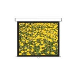 Écran de projection - montable au plafond, montable sur mur - 120" (305 cm) - 4:3 - Matte White (DS-3120PMG+)_1
