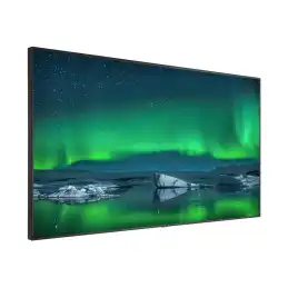 NEC MultiSync C861Q - Classe de diagonale 86" écran LCD rétro-éclairé par LED - signalisation numérique - ... (60004031)_4