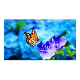 55" UN-Series- Ecran pour mur d'images- 500cd - m² - Direct LED backlight - 24 - 7 proof - OPS Slot, CM Sl... (60004524)_2