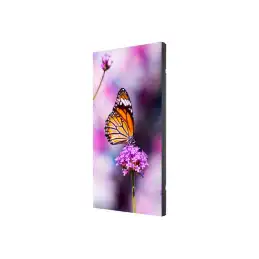 55" UN-Series- Ecran pour mur d'images- 500cd - m² - Direct LED backlight - 24 - 7 proof - OPS Slot, CM Sl... (60004524)_4