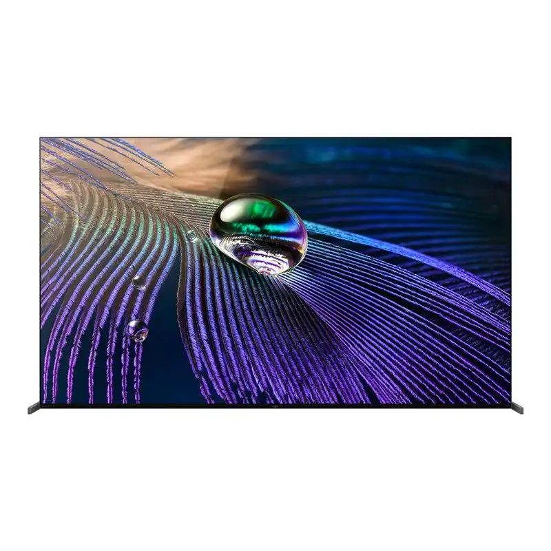 Sony Bravia Professional Displays - Classe de diagonale 55" (54.6" visualisable) affichage OLED - avec t... (FWD-55A90J)_1