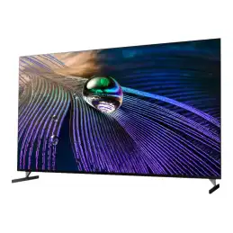 Sony Bravia Professional Displays - Classe de diagonale 55" (54.6" visualisable) affichage OLED - avec t... (FWD-55A90J)_4