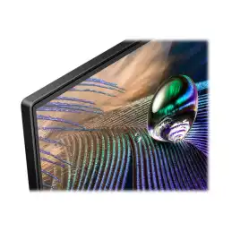 Sony Bravia Professional Displays - Classe de diagonale 55" (54.6" visualisable) affichage OLED - avec t... (FWD-55A90J)_12