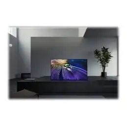 Sony Bravia Professional Displays - Classe de diagonale 55" (54.6" visualisable) affichage OLED - avec t... (FWD-55A90J)_15