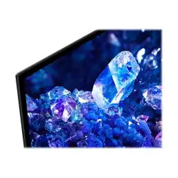 Sony Bravia Professional Displays - Classe de diagonale 42" (41.5" visualisable) - BRAVIA Professional D... (FWD-42A90K)_14