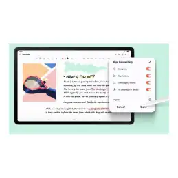 Tablette - Android - 128 Go - 13.1" TFT (2800 x 1800) - Logement microSD - gris (SM-X620NZAREUB)_5