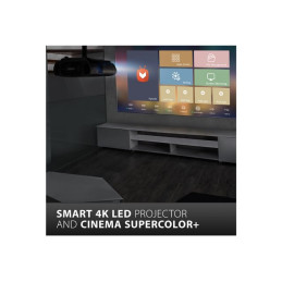 Projecteur DLP - LED - 2900 lumens - 3840 x 2160 - 16:9 - 4K (X100-4K)_15