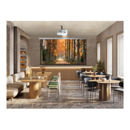 Projecteur DLP - laser - phosphore - 5000 ANSI lumens - Full HD (1920 x 1080) - 16:9 - 1080p - objecti... (LS741HD)_13