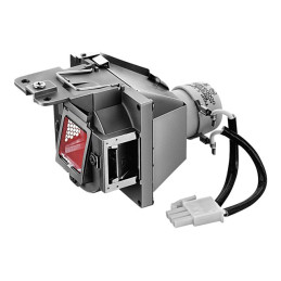 Lampe de projecteur - 190 Watt - 4500 heure(s) (mode standard) - 10000 heure(s) (mode économ... (5J.J9R05.001?BENQ)_1