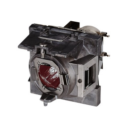 Lampe de projecteur - pour ViewSonic PA503S, PA503X, PG603X, PS501X, PS501X+, PS600X (RLC-108)_1