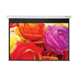 Écran de projection - montable au plafond, montable sur mur - 95" (241 cm) - 16:10 - Matte White (DS-1095PMG+)_1