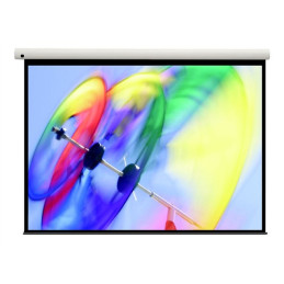  - manual screen 4:3 153x203 (DS-3100PMG+)_1