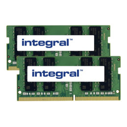 DDR4 - kit - 16 Go: 2 x 8 Go - SO DIMM 260 broches - 2400 MHz - PC4-19200 - CL17 - 1.2 V - mémoi... (IN4V8GNDLRXK2)_1
