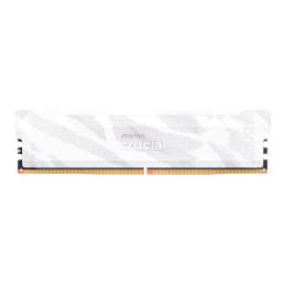 DDR5 - module - 16 Go - DIMM 288 broches - 6400 MT - s - PC5-51200 - CL32 - 1.35 V - mémoire san... (CP16G64C32U5W)_1