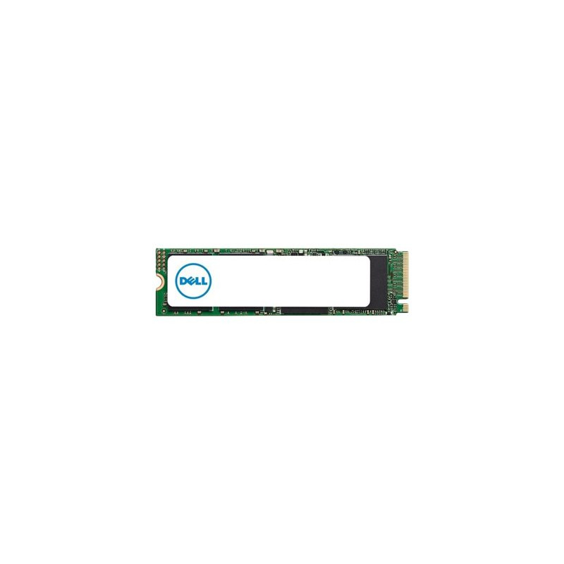 SSD - 1 To - interne - M.2 2280 - PCIe - pour Latitude 5310, 54XX, 55XX, 7390 OptiPlex 54XX, 70XX, 74... (AA615520)_1