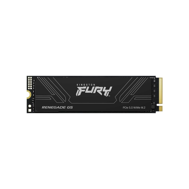 SSD - 1 To - interne - M.2 2280 - PCI Express 5.0 x4 (NVMe) (SFYR2S/1T0)_1