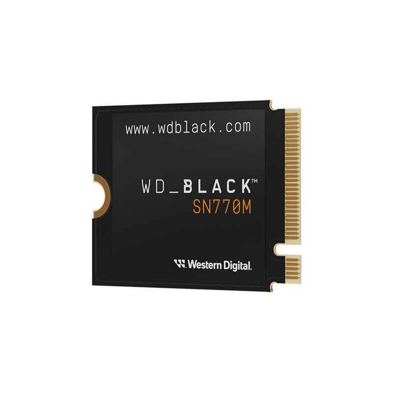 SSD - 1 To - interne - M.2 2230 - PCIe 4.0 x4 (NVMe) (WDS100T3X0G-00CHY0)_1
