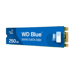 SSD - 250 Go - interne - M.2 2280 - SATA 6Gb - s - bleu (WDS250G3B0B-00AXS0)_1