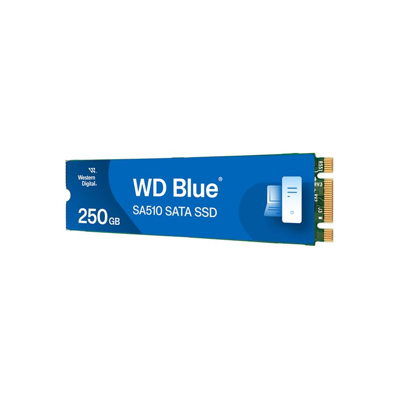 SSD - 250 Go - interne - M.2 2280 - SATA 6Gb - s - bleu (WDS250G3B0B-00AXS0)_1