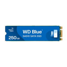 SSD - 250 Go - interne - M.2 2280 - SATA 6Gb - s - bleu (WDS250G3B0B-00AXS0)_2