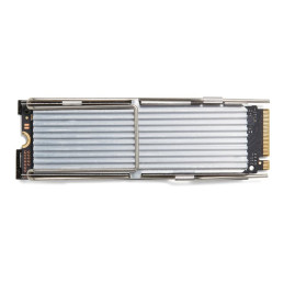 SSD - Value - 512 Go - interne - M.2 2280 - PCIe 4.0 x4 - pour Workstation Z2 G9 (mini) (4N008AA)_1