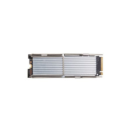 SSD - Value - 256 Go - interne - M.2 2280 - PCIe 4.0 x4 (NVMe) - pour Workstation Z2 G9 (mini) (4N009AA)_1