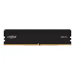 Crucial Pro 24GB DDR5-5600 UDIMM TRAY (CP24G56C46U5T)_1