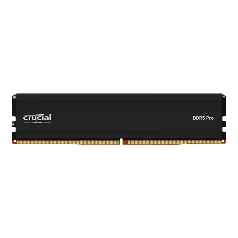 Crucial Pro 24GB DDR5-5600 UDIMM TRAY (CP24G56C46U5T)_1