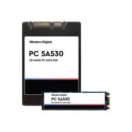 SSD - 256 Go - interne - M.2 2280 - SATA 6Gb - s (SDASN8Y-256G)_1
