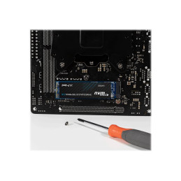 SSD - 500 Go - interne - M.2 2280 - PCIe 4.0 x4 (NVMe) (M280CS2241-500-RB)_5