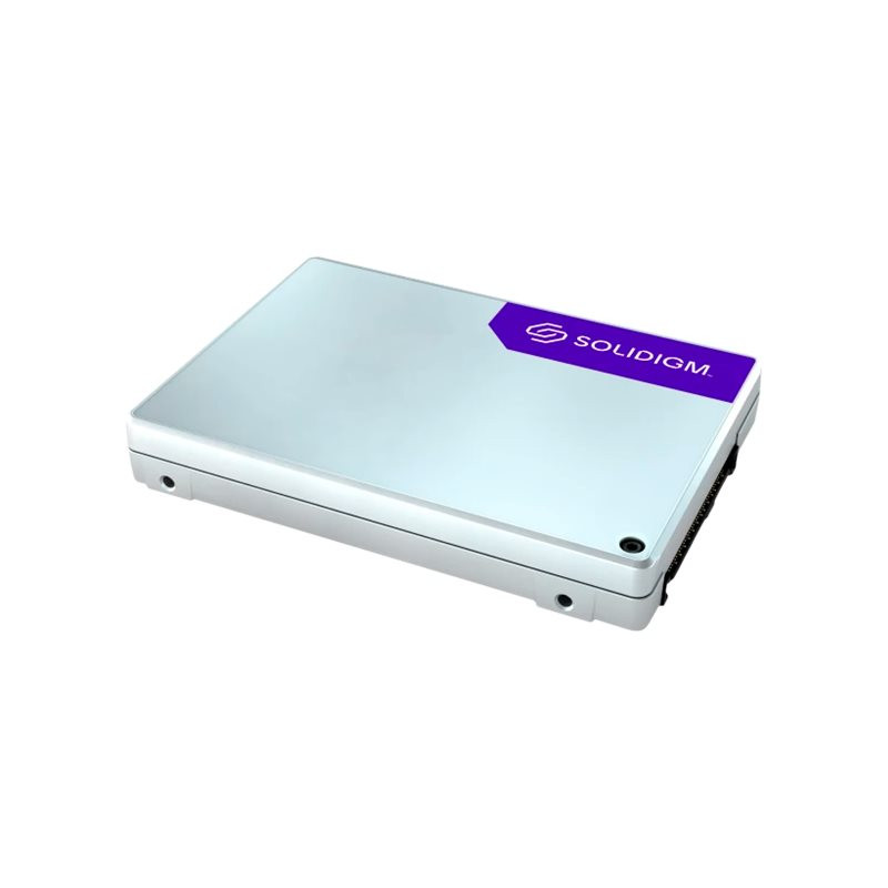 SSD - Enterprise - 3.84 To - interne - 2.5" - U.2 PCIe 4.0 x4 (NVMe) (SBFPF2BU038T001)_1