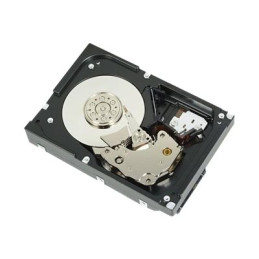 Disque dur - 1 To - interne - 3.5" - SATA 6Gb - s - 7200 tours - min - pour PowerEdge T130 (3.5"), T3... (400-AUPW)_1