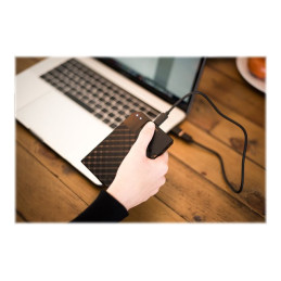 Disque dur - chiffré - 2 To - externe (portable) - USB 3.1 Gen 1 (USB-C connecteur) - AES 256 bits (53651)_6