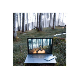 Disque dur - 1 To - externe (portable) - USB 3.2 Gen 1 - gris sidéral (53662)_7