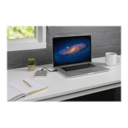 Disque dur - 2 To - externe (portable) - USB 3.2 Gen 1 - argent (53666)_8