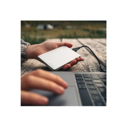 Disque dur - 1 To - externe (portable) - USB 3.2 Gen 1 - argent (53663)_8