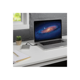 Disque dur - 1 To - externe (portable) - USB 3.2 Gen 1 - argent (53663)_10