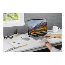 Disque dur - 1 To - externe (portable) - USB 3.2 Gen 1 - argent (53663)_13