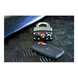 SSD - chiffré - 1 To - externe (portable) - USB 3.2 Gen 2 - AES 256 bits (SDSSDE61-1T00-G25)_9
